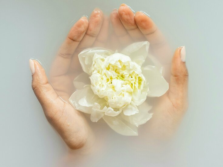 Hände halten Lotusblume