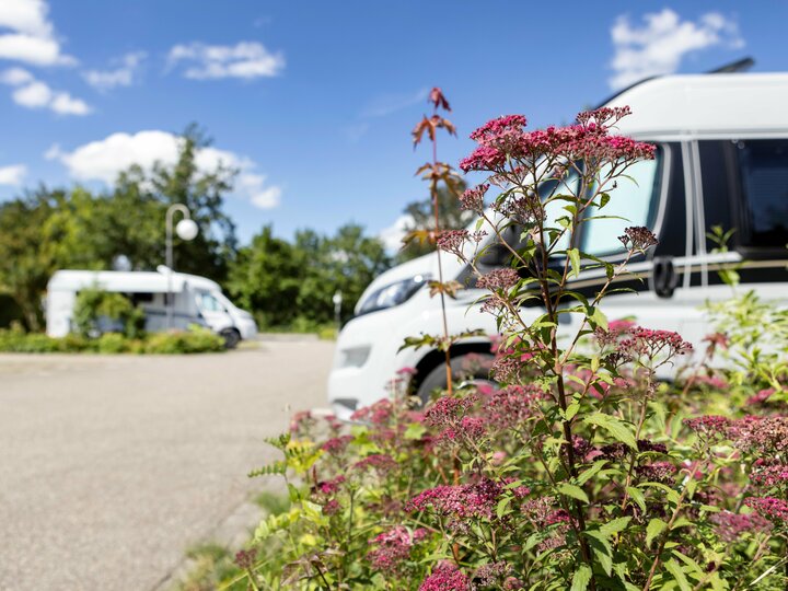 Wohnmobilstellplatz Wohnmobilstellplatz an der Sonnenhof-Therme